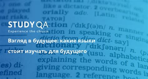 Самое время выбрать направление: какие языки стоит изучать