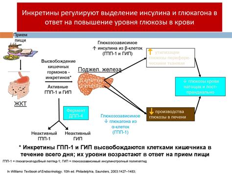 Сахарозаменитель: повышение иммунитета и контроль глюкозы в организме