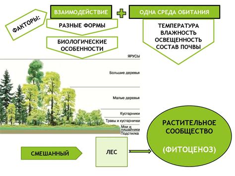 Сбалансированное растительное сообщество