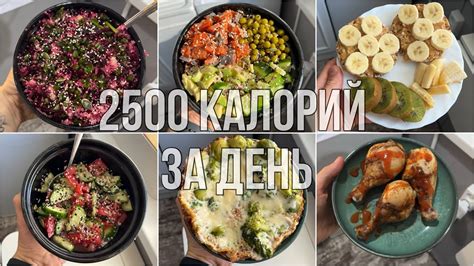 Сбалансированный рацион - залог здоровья котенка