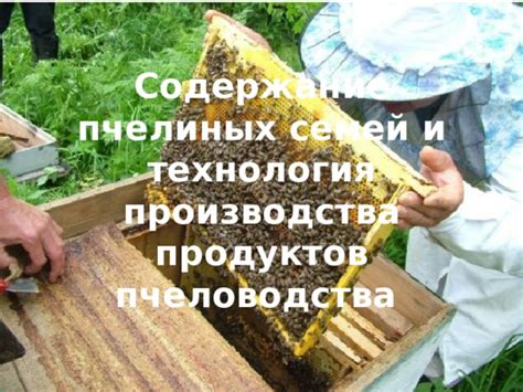 Сбор и использование пчелиных продуктов