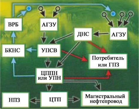 Сбор и подготовка экипировки