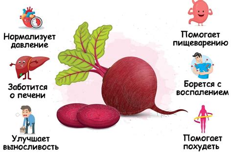 Свекла: польза и вред при гипертонии