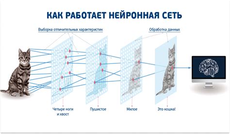 Сверточные нейронные сети в синтезе изображений