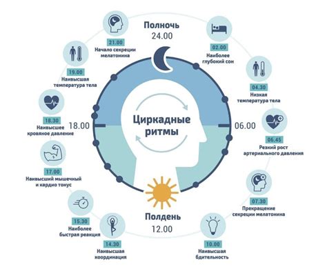 Световая среда и влияние на циркадные ритмы