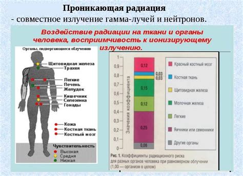 Свинец как эффективный экран от радиации