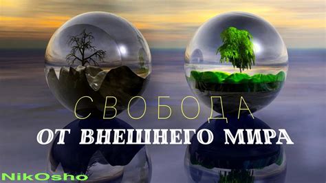 Свобода от внешнего влияния