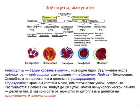 Свойства крови