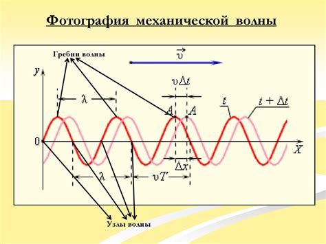 Свойства поперечных волн