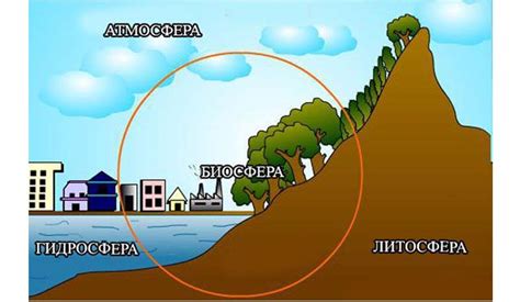 Связь между биосферой и ноосферой