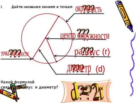 Связь между диаметром ствола и возрастом