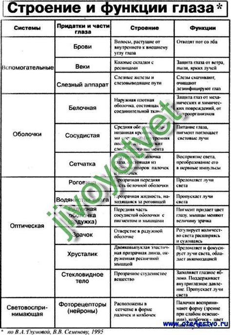 Связь между мочой и общим состоянием организма