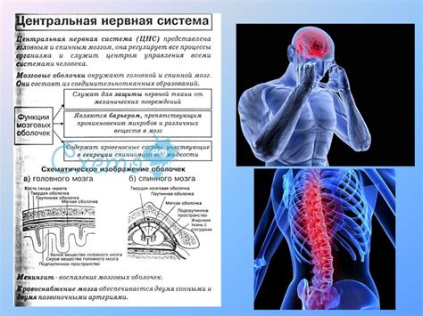 Связь между стрессом и трясущимися руками