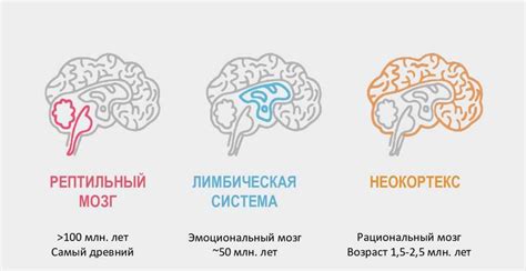 Связь сновидений в обморочном состоянии с подсознанием