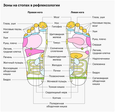 Связь с рефлексологией