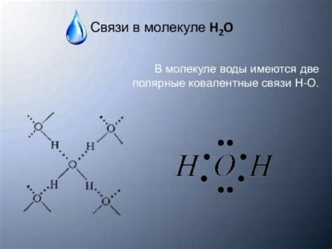 Связь с темным цветом воды и покрытием дна