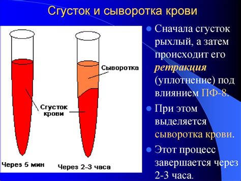 Сгусток и разделение сыворотки