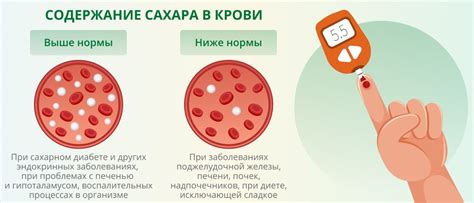 Сдача крови при заболевании: риск или спасение?