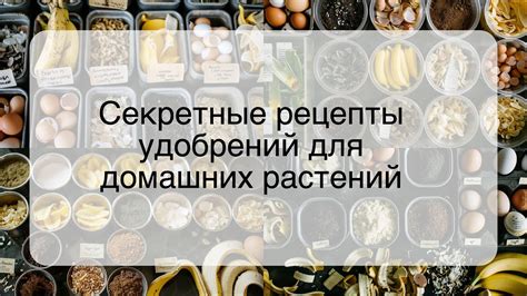 Секретные рецепты