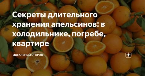 Секреты длительного хранения