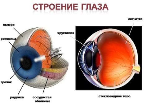 Секреты оптики глазного яблока