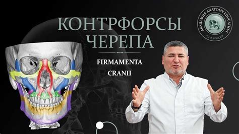 Секреты работы механизма: как он функционирует и почему это важно