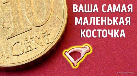 Секреты удаления костей