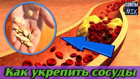 Секреты укрепления сосудов головного мозга