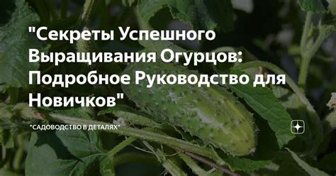 Секреты успешного благополучия: