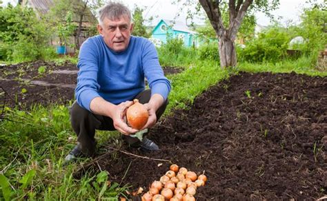 Секреты успешного пыльцевания растений