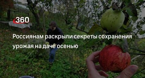 Секреты успешного сохранения урожая