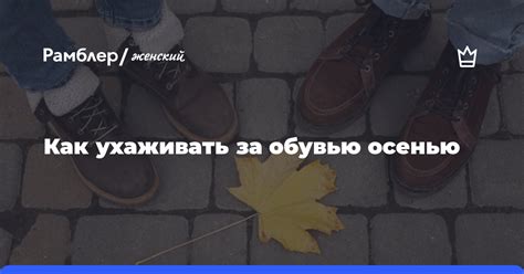 Секреты ухода за щитками: продлеваем их срок службы