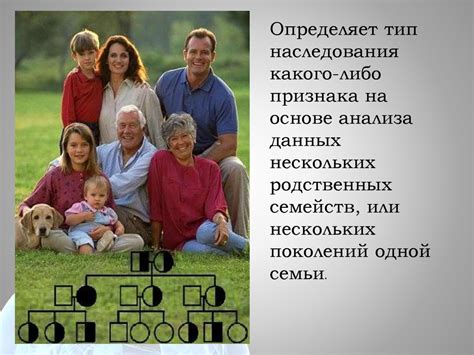 Секрет 2: Исследование архивов и родословных