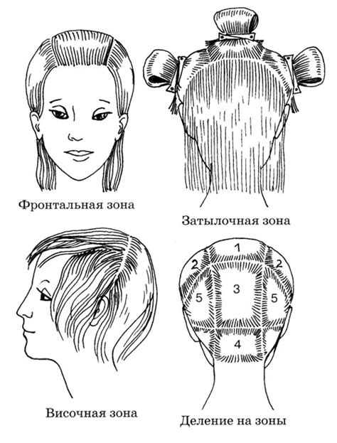 Секция и разделение волос