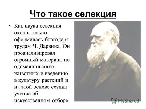 Селекция на основе подражания при отборе партнеров