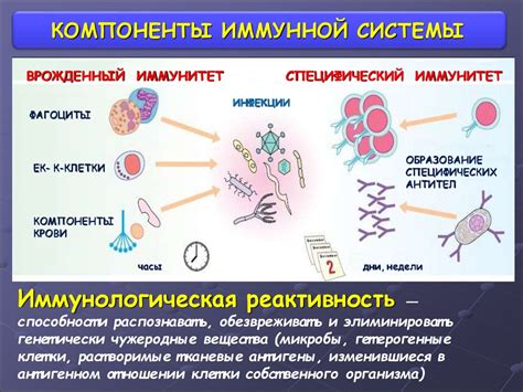 Селен и иммунная система