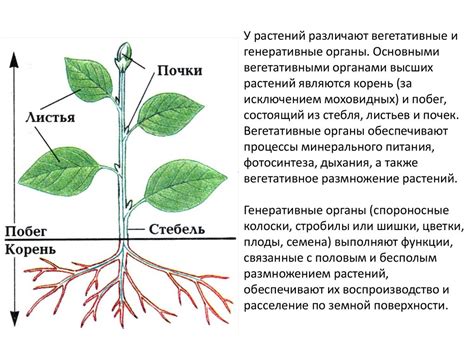 Сельхозназначение и его особенности