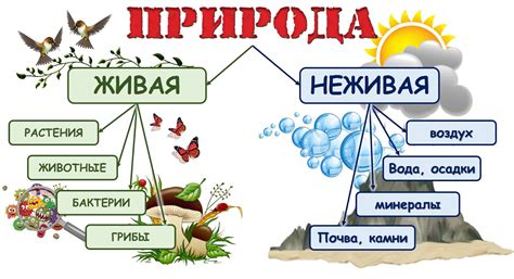 Семантическая связь между словами "прикоснуться" и "природа"