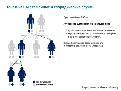 Семейное наследование: передача генов от родителей