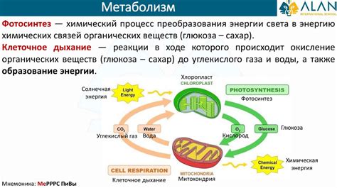 Семь основных признаков наличия жизни