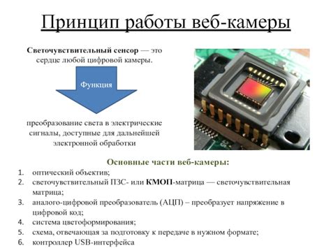 Сенсор камеры: конвертация света в цифровой сигнал