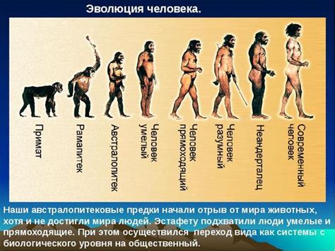 Сила слова: история и значение языка для развития человечества