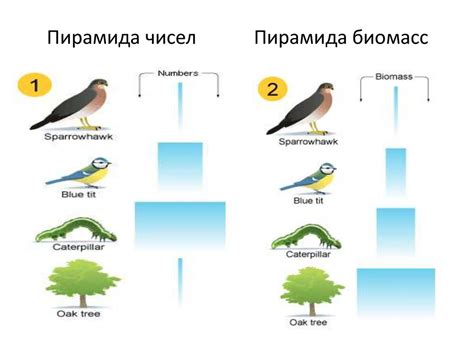 Сильная конкуренция в экосистеме