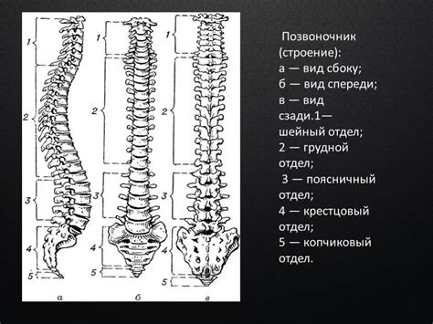 Символическое значение столба