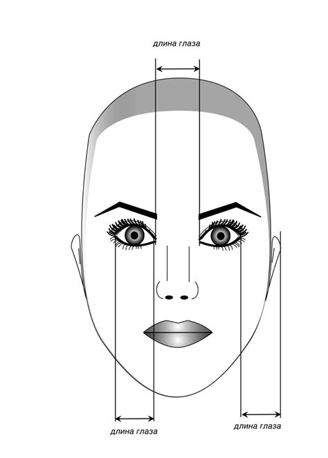 Симметричное лицо, гармоничные пропорции и ясные черты