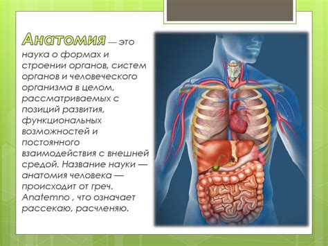 Симптомы, тревожащие многих: болят внутренние органы