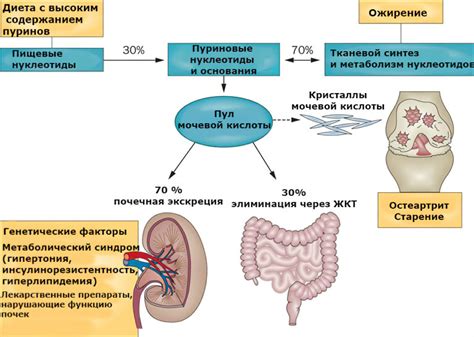 Симптомы высокого уровня мочевой кислоты