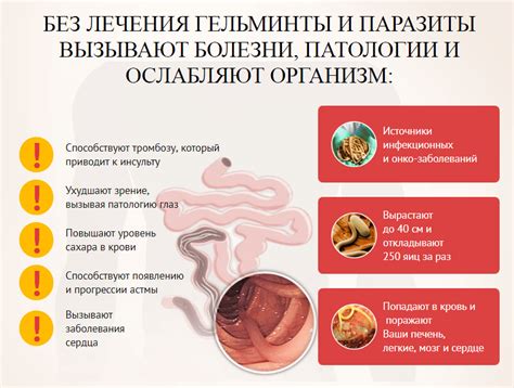 Симптомы глистов при передаче через поцелуй