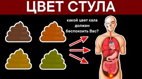 Симптомы желтого цвета и жидкости в стуле