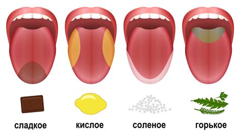 Симптомы и дискомфорт, сопутствующие сладкому кому